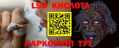 гидропоника Бийск