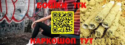 гидропоника Бийск