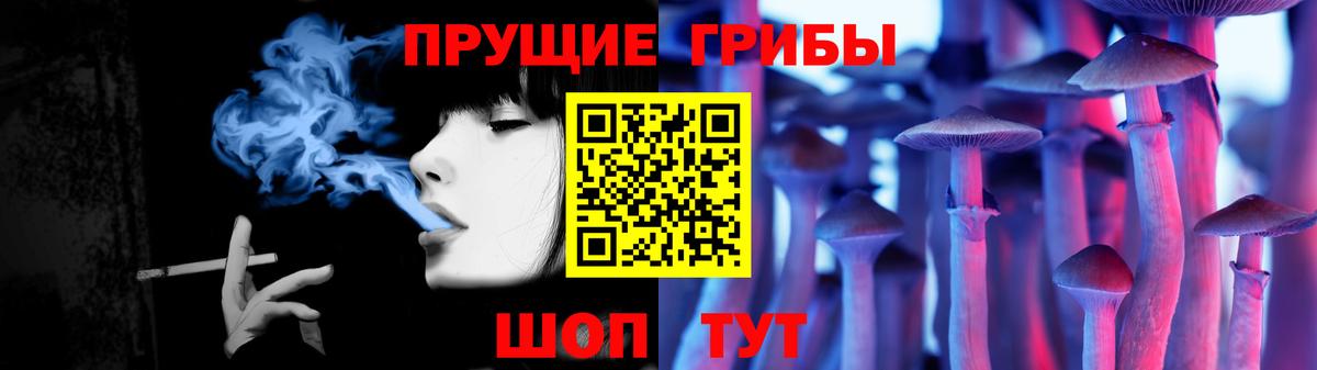 Кашира  Псилоцибиновые грибы Psilocybine cubensis  где можно купить   Вход с VPN 